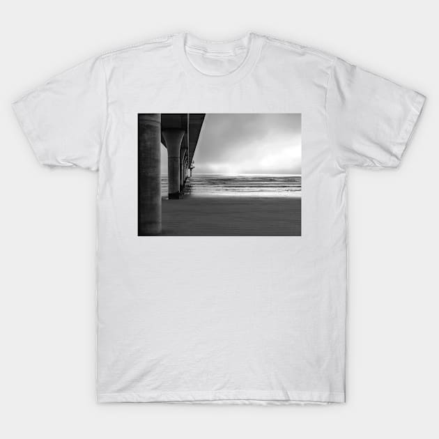 A Misty Morn T-Shirt by PictureNZ